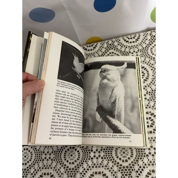1981 Handbook of Cockatoos By Dr. A.E. Decoteau ❤️🍒 - Picture 12 of 13